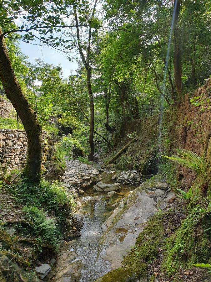 Villa Collina E Mare Camogli Exterior foto